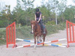 IMG_0559_web